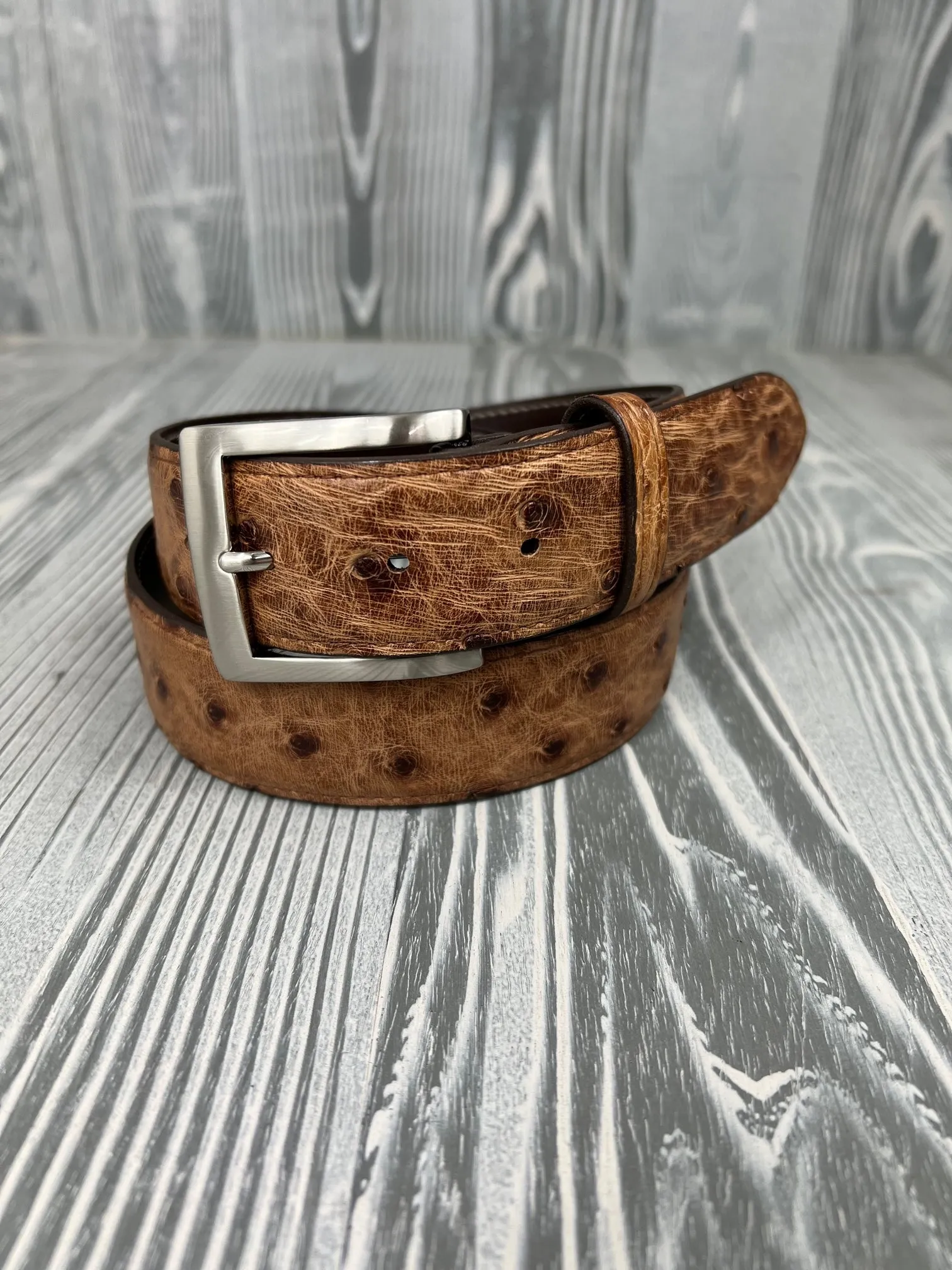 Chacon Brandy Bruciato Full Quill Ostrich 1 1/2" Belt